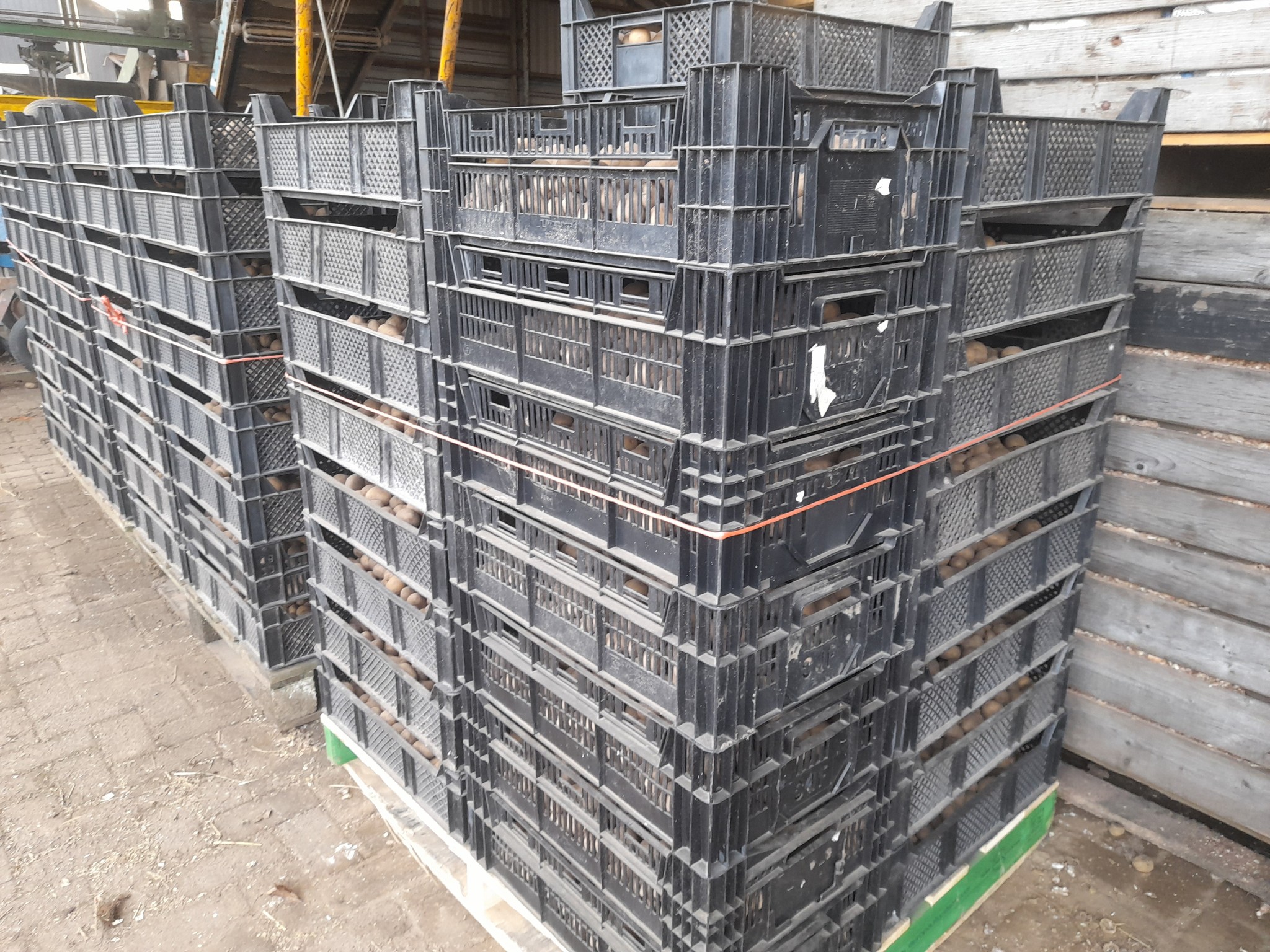 Boerderijwinkel Lensink bereidt zich voor op nieuw seizoen